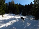 Ivarčko jezero - Uršlja gora (Plešivec)